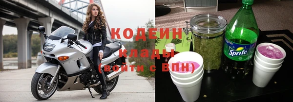 гашик Козельск