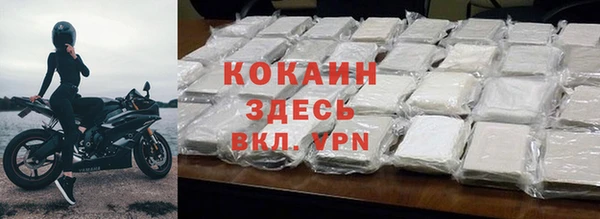 гашик Козельск