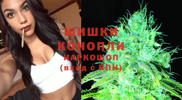 гашик Козельск