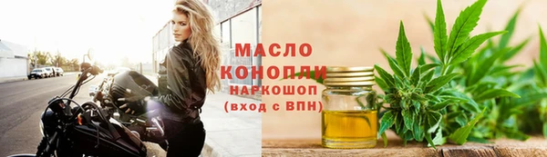 гашик Козельск