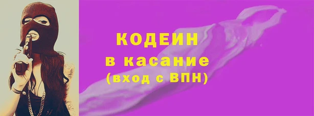 гашик Козельск