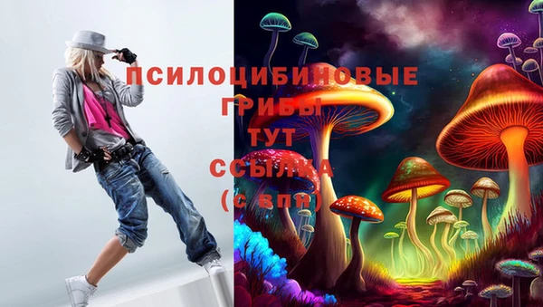 ешки Кодинск