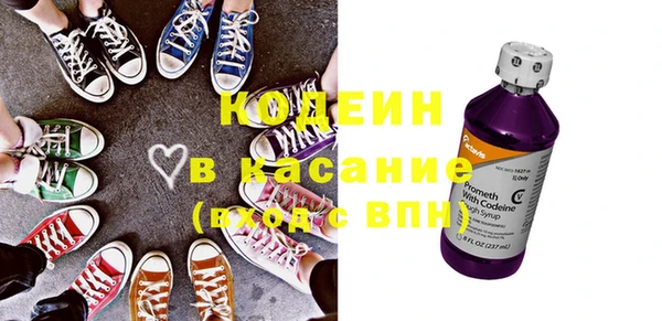 ешки Корсаков