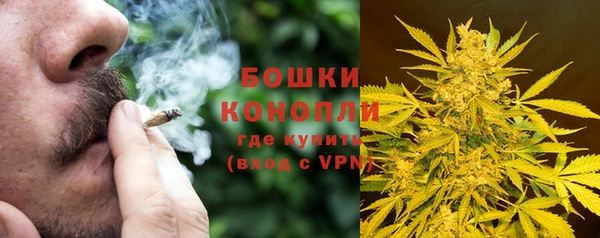 твердый Козловка