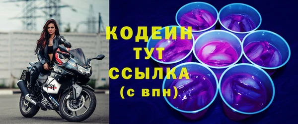ешки Корсаков