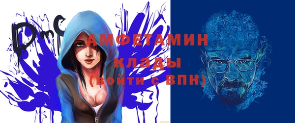 гашик Козельск